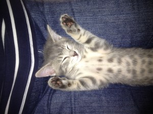 I was tired. And very comfy.