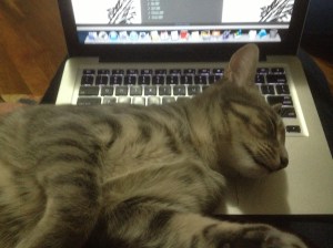 Were you writing? You should be patting.