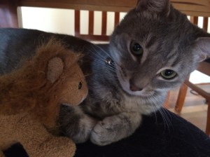 I has my lion. 